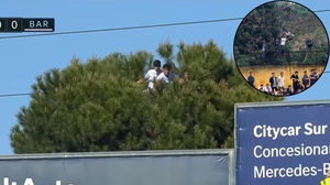 Độc lạ La Liga: CĐV ngồi vắt vẻo trên ngọn cây xem bóng đá như V League