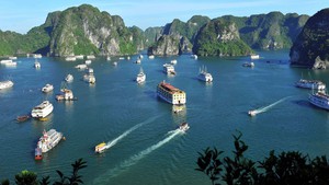 Tỉnh Quảng Ninh khẳng định: Không có khách sạn hạng sang trên Vịnh Hạ Long