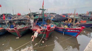 Ứng phó bão số 1: Mưa lớn ở Bắc Bộ, Thủ đô Hà Nội không bị ảnh hưởng trực tiếp