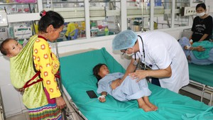Vụ ngộ độc quả hồng châu: Một trẻ tử vong, chuyển 3 trẻ về Bệnh viện Nhi Trung ương