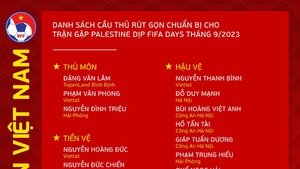 Xem trực tiếp bóng đá Việt Nam vs Palestine ở đâu? VTV nào trực tiếp?