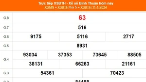 XSBTH 11/1, kết quả Xổ số Bình Thuận hôm nay 11/1/2024, KQXSBTH ngày 11 tháng 1