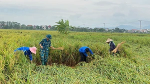 Kinh tế thích ứng với biến đổi khí hậu - Bài 1: Bài học từ siêu bão Yagi