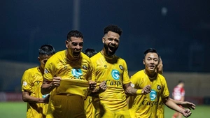 Link xem trực tiếp bóng đá V-League hôm nay ngày 10/11/2024