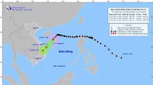 Thời tiết ngày 11/11: Bão số 7 giảm cường độ, giật cấp 11