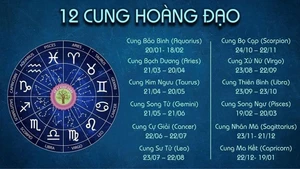 Tử vi hôm nay: Dự đoán chiêm tinh ngày 12/12/2024 cho 12 cung hoàng đạo