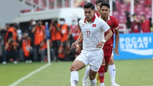 VTV5 VTV6 trực tiếp bóng đá Việt Nam vs Indonesia 20h00 hôm nay, AFF Cup 2024 vòng bảng