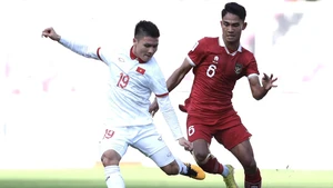 Link xem VTV2 trực tiếp bóng đá Việt Nam vs Indonesia (20h00 hôm nay)