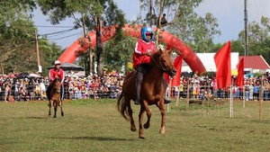 Đặc sắc Hội đua ngựa truyền thống Gò Thì Thùng