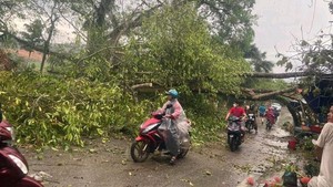 Bắc Bộ ngày nắng, chiều tối có mưa rào và dông