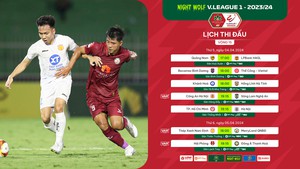 Bảng xếp hạng V-League vòng 15 hôm nay: Thua trận, Nam Định vẫn đứng đầu