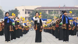 Công diễn dân vũ, điệu nhảy đường phố của học sinh, sinh viên tỉnh Điện Biên