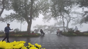 Thời tiết ngày 10/4: Bắc Bộ có mưa dông và sương mù