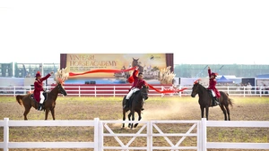 Choáng ngợp với màn ra mắt của Học viện cưỡi ngựa đầu tiên tại Việt Nam trên đảo Vũ Yên