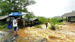 Mưa lớn cục bộ tiếp diễn tại Tây Bắc Bộ và các tỉnh Hà Giang, Tuyên Quang
