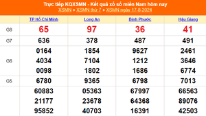 XSMN 17/8 - Kết quả xổ số miền Nam hôm nay 17/8/2024 - KQXSMN thứ Bẩy ngày 17 tháng 8