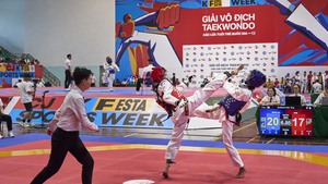 Tranh tài sôi nổi tại Giải vô địch Taekwondo các lứa tuổi trẻ quốc gia CJ năm 2024