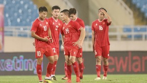 ĐT Việt Nam tụt bậc trên BXH FIFA, Thái Lan lọt Top 100 thế giới, Indonesia được cộng hơn 15 điểm