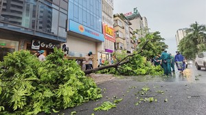 Thời tiết ngày 7/9: Hà Nội có gió giật cấp 9-11