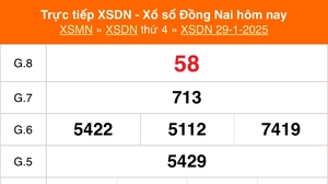 XSDN 29/1 - Kết quả xổ số Đồng Nai hôm nay 29/1/2025 - Trực tiếp XSDN ngày 29 tháng 1