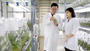 Nghị quyết số 57-NQ/TW: Kỳ vọng tăng trưởng từ đột phá chiến lược
