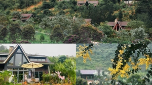 Trải nghiệm Halloween giữa rừng thu Lat Valley Reatreat Village