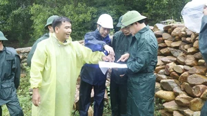 Bão số 12: Đà Nẵng lập 3 Ban chỉ huy tiền phương khu vực