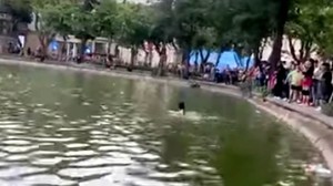 Làm rõ thông tin người phụ nữ bị đuối nước tại hồ Hoàn Kiếm