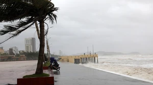 Bão số 14 giữ nguyên hướng và cường độ, Bắc Biển Đông động dữ dội