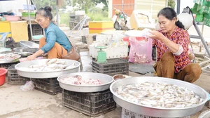 Phiên chợ độc đáo ở vùng sông nước miền Tây