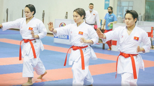 Danh sách đội Karate của Việt Nam tham dự SEA Games 2025