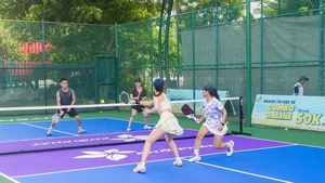 Giá thuê sân pickleball như thế nào? Sự khác nhau giữa sân pickleball tại Hà Nội, TP.HCM và Đà Nẵng?