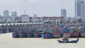 Thủ tướng Chính phủ yêu cầu tập trung triển khai các biện pháp khẩn cấp ứng phó bão số 13