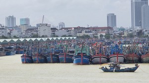 Theo dõi chặt chẽ tàu, thuyền đang hoạt động trên biển trước bão FUNG-WONG