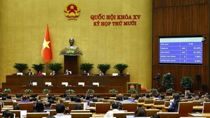 Từ Nghị quyết số 57-NQ/TW, phong trào "Bình dân học vụ số" đến Luật Chuyển đổi số