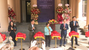 Nhiều bức tranh quý của họa sĩ Tô Ngọc Vân lần đầu tiên được công bố