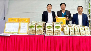 Trung tâm OCOP – cầu nối giữa sản phẩm địa phương và truyền thông số