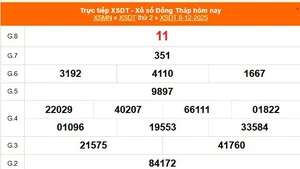 XSDT 8/12 - Kết quả xổ số Đồng Tháp hôm nay 8/12/2025 - Trực tiếp XSDT ngày 8 tháng 12