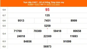 XSDT 3/2 - Kết quả xổ số Đồng Tháp hôm nay 3/2/2025 - Trực tiếp XSDT ngày 3 tháng 2