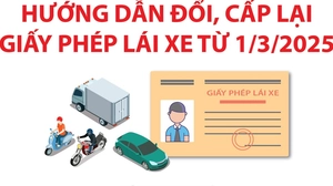 Bộ Công an hướng dẫn đổi, cấp lại giấy phép lái xe từ 1/3/2025