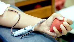 Phát hiện thêm lợi ích lâu dài khi hiến máu định kỳ