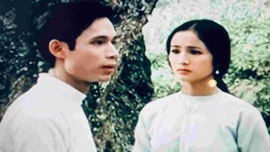 Những ngày phim Việt Nam kỷ niệm 135 năm ngày sinh Chủ tịch Hồ Chí Minh