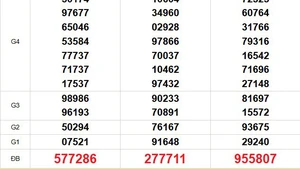 XSMN 6/5 - Kết quả xổ số miền Nam hôm nay 6/5/2025 - Trực tiếp xổ số hôm nay ngày 6 tháng 5