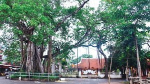 Hà Nội xếp hạng 9 di tích lịch sử - văn hóa và danh lam thắng cảnh