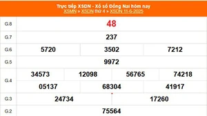 XSDN 11/6 - Kết quả xổ số Đồng Nai hôm nay 11/6/2025 - Trực tiếp XSDN ngày 11 tháng 6