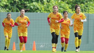 Các tân binh nỗ lực tìm vị trí ở đội tuyển nữ Việt Nam