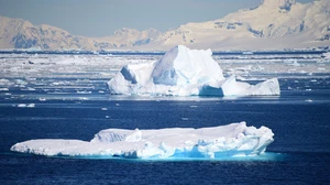 Băng Nam Cực tan nhanh kỷ lục do nước biển mặn bất thường