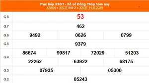 XSDT 11/8 - Kết quả xổ số Đồng Tháp hôm nay 11/8/2025 - Trực tiếp XSDT ngày 11 tháng 8