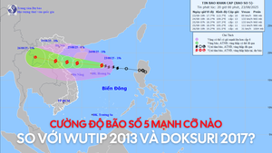 Cường độ Bão số 5 mạnh cỡ nào so với Bão Wutip 2013 và Bão Doksuri 2017?