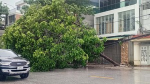 Bão số 10: Thanh Hóa 1 người chết kèm nhiều thiệt hại nặng nề